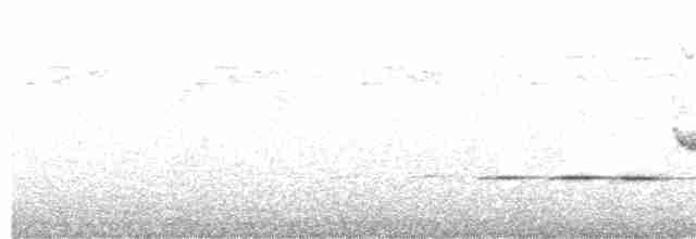 Mangrove Whistler - ML242685451