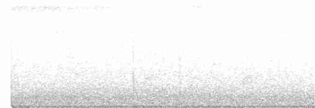 Mangrove Whistler - ML242685511