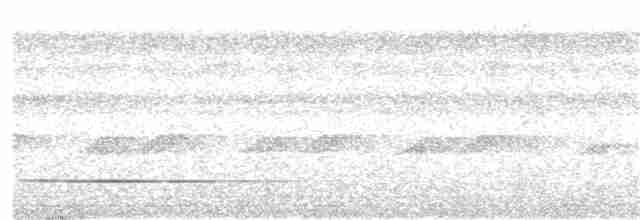 Cinereous Tinamou - ML24268991