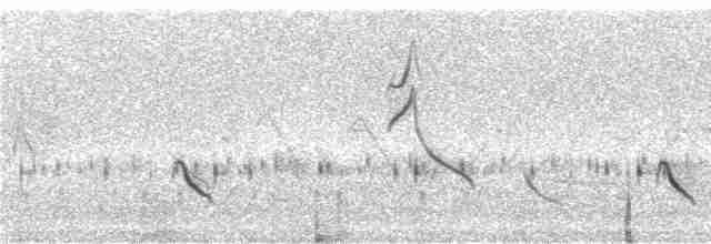 Танагра-короткодзьоб чорновола - ML242694