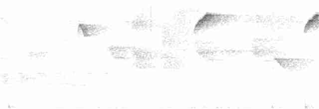 Пестрогорлый колибри-отшельник - ML242695391