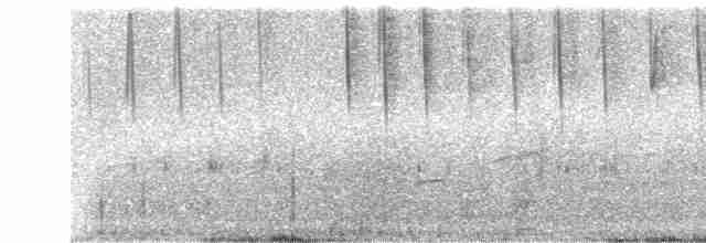 Safir Kanatlı Kolibri - ML242708
