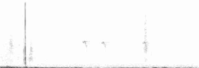 カナダカケス（capitalis／bicolor） - ML242715571
