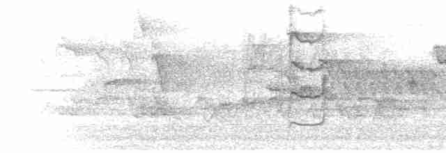 ML242720111 visualization
