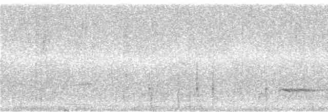 Safir Kanatlı Kolibri - ML242721
