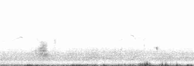 裏海燕鷗 - ML242739011
