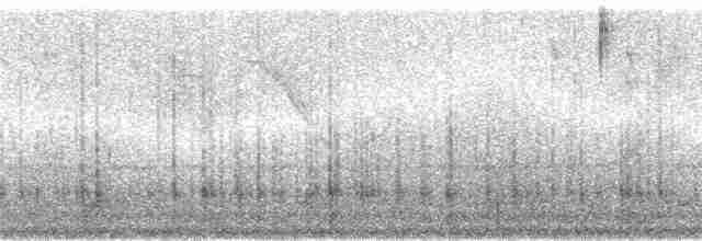 Safir Kanatlı Kolibri - ML242754