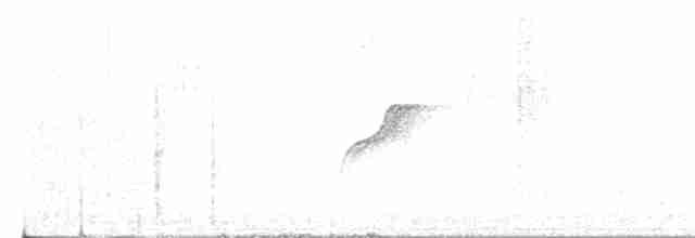 Western Flycatcher (Cordilleran) - ML242755741