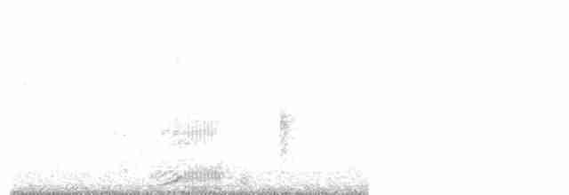 疣鼻天鵝 - ML242766201