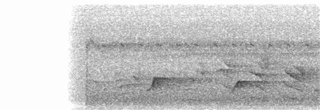Сероголовый цикадник - ML242768481