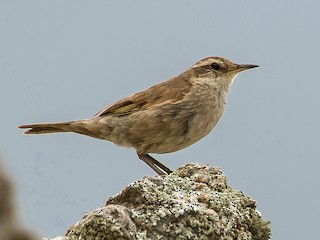  - ML242787011