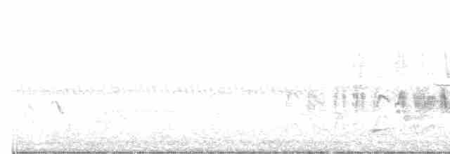 Bell's Vireo - ML242799921