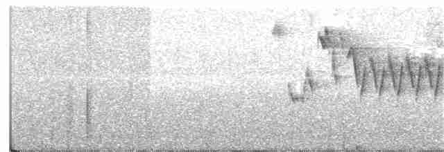 Troglodyte de Baird - ML242807411
