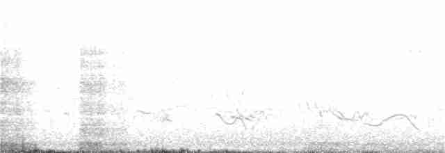 オジロヒメドリ - ML242825081