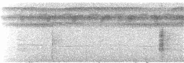 Boz Kanatlı Borazankuşu - ML242832581