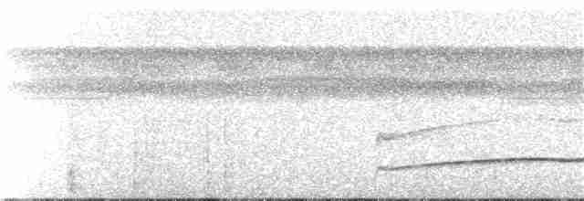 Тиран-плоскодзьоб рудохвостий - ML242840561