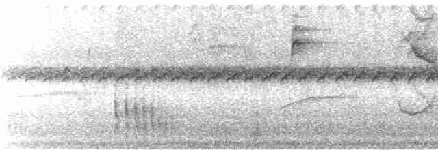 Ak Kanatlı Piranga - ML242852