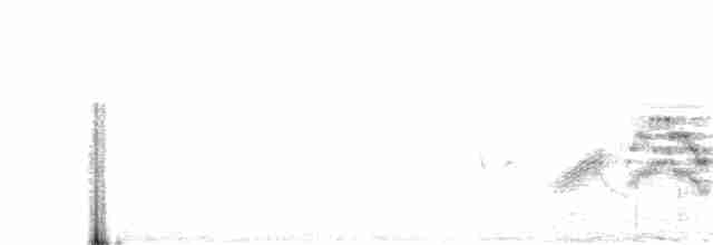 Бурый соловьиный дрозд - ML242856541
