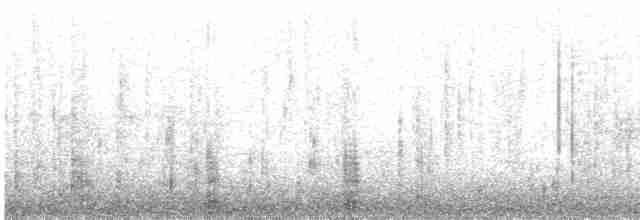 Common Merganser - ML242857491