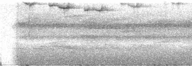 Тиранчик-мухолюб зелений - ML242863