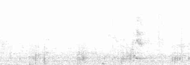 Медолюб-сережник східний - ML242880601