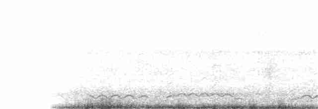 Гагара полярна - ML242896961