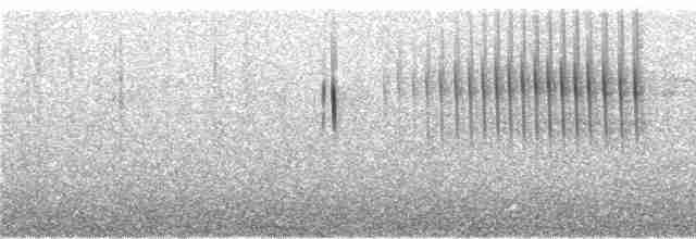 Kestane Kanatlı Sinklot - ML242898
