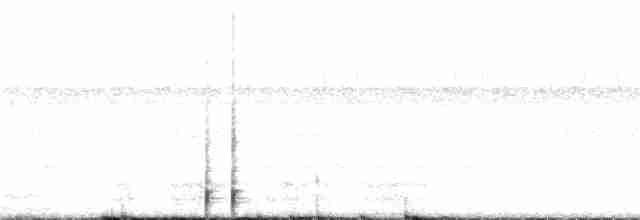 Пятнистогрудый ибис - ML24290521