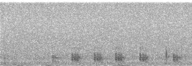 Koca Başlı Motmot [platyrhynchum grubu] - ML242921