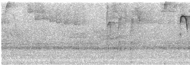 svartkroneløvtyrann - ML242944