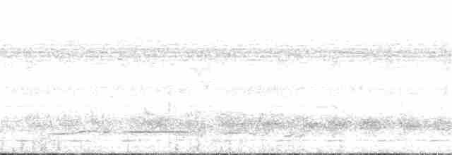 Kısa Kuyruklu Akalat (poensis) - ML24294611