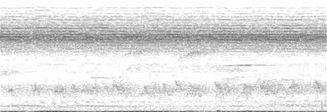 Black-necked Wattle-eye - ML24294721