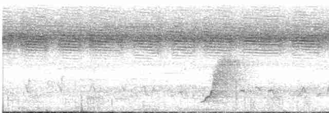 Гонолек гірський (підвид poensis) - ML24294801