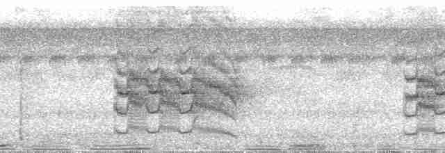 Челноклювый бентеви (pitangua) - ML24296