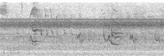 Bluish-gray Saltator - ML242964