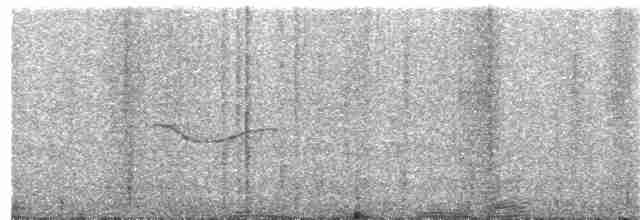 Gray-streaked Honeyeater - ML242974831