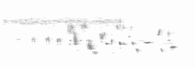 Аравийский жаворонок - ML242998171