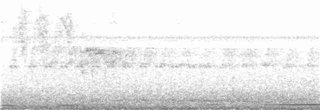 holub bledočelý - ML243011021