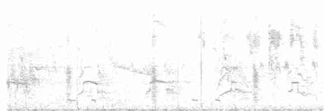 Black-billed Cuckoo - ML243012201