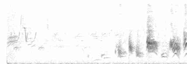 דרורן זהוב - ML243012321