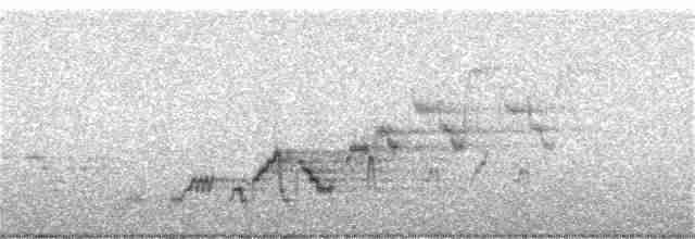 brunkinnskogtrost (swainsoni gr.) - ML243013191