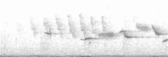 Пестрогрудая овсянка (Лисья) - ML243013521