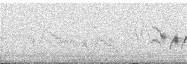 Gri Yanaklı Bülbül Ardıcı - ML243013751