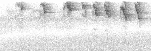 Серогрудый дромник - ML243028