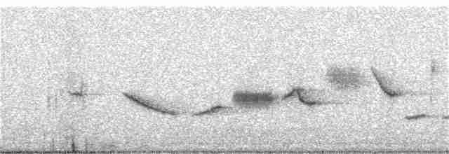Пестрогрудая овсянка (Лисья) - ML243028321
