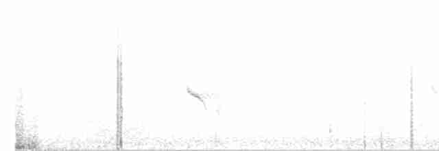 Evening Grosbeak (type 1) - ML243033691