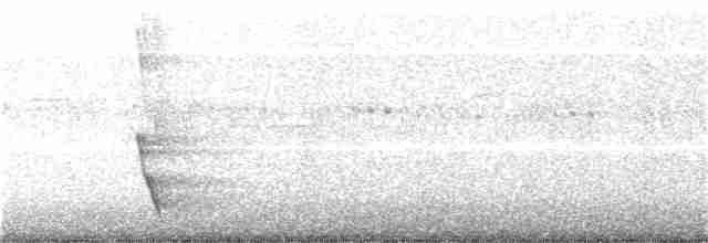 Plush-crested Jay - ML243034911