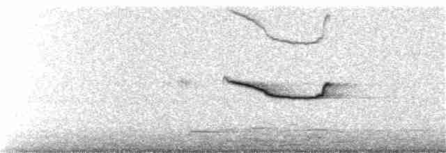 Uzun Gagalı Çobanaldatan (longirostris) - ML243043761