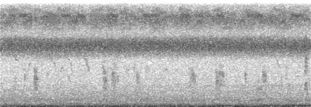 Плавунець круглодзьобий - ML243079471