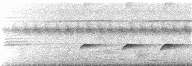 Çalı Guguğu (virescens) - ML243099941